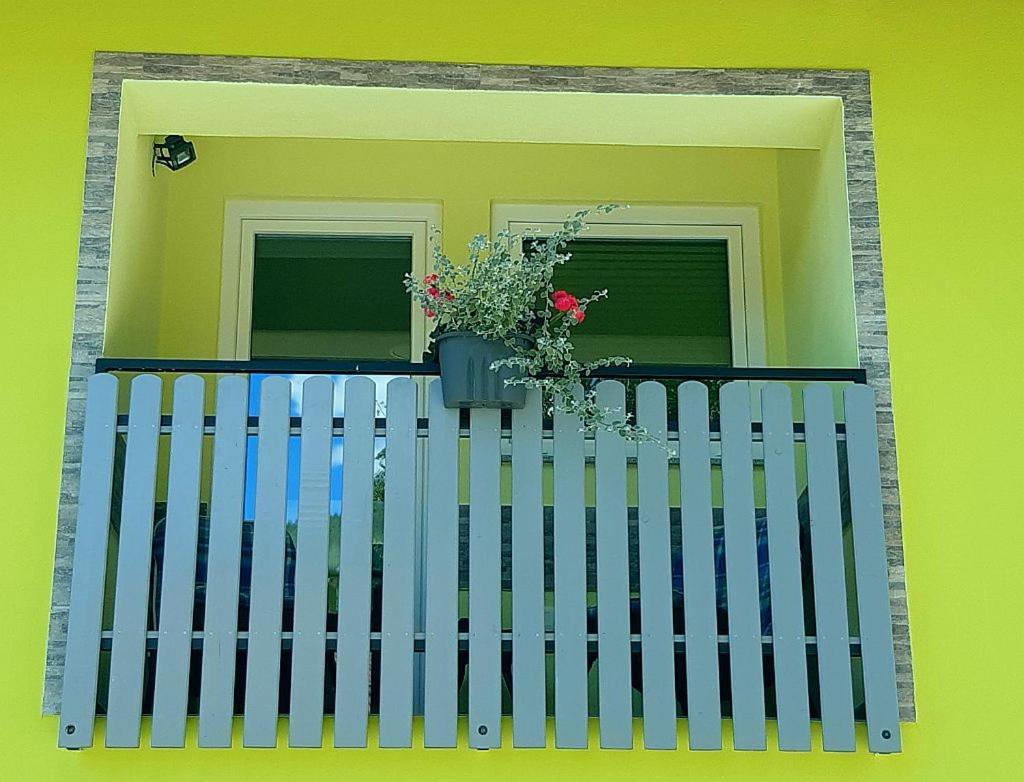 Hisa Planica Apartment Kobarid Exterior photo